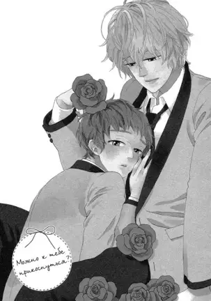 The Daydreamer Falls in Love