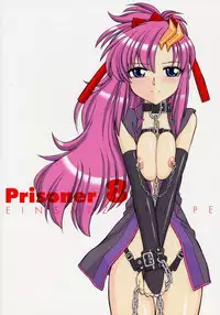 (C70) [EINSATZ GRUPPE (Charlie Nishinaka)] PRISONER 8 Miserable Birds (Gundam SEED DESTINY)