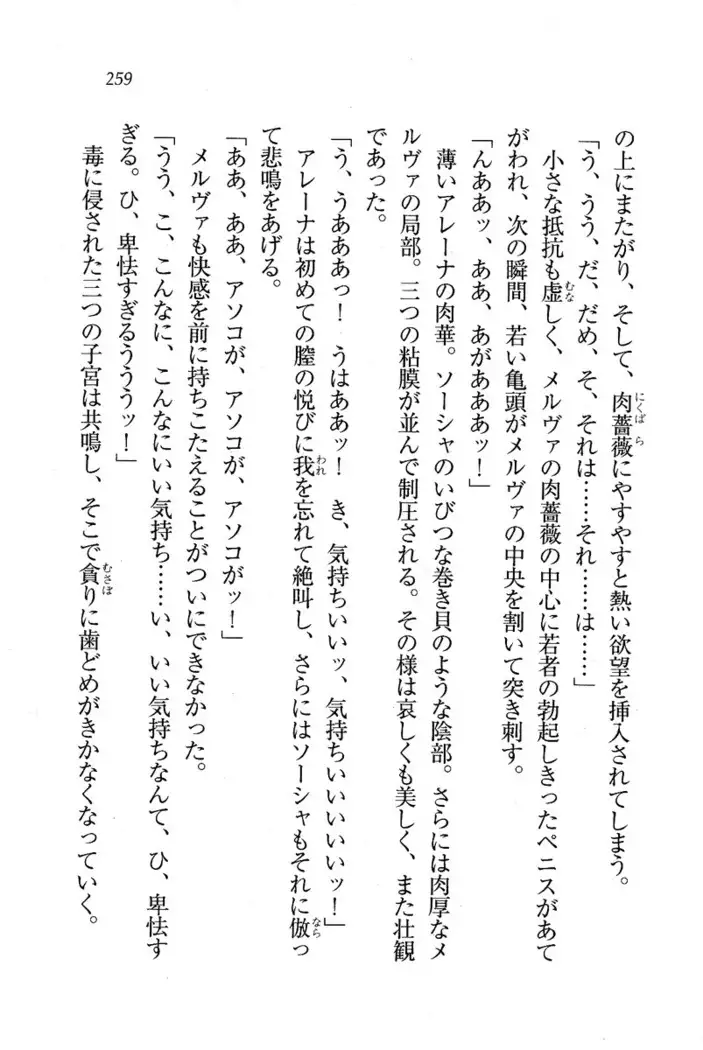 Circus～聖杯の魔法使い