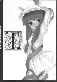 (C77) [INST (interstellar)] SHADOWPLAY (Touhou Project)