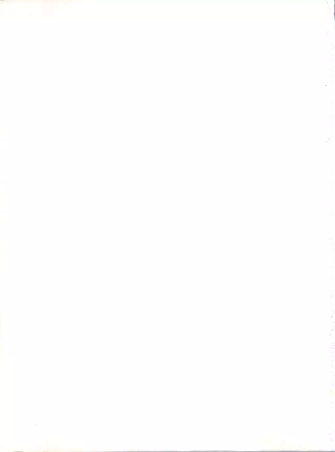 NanDemo-R Yume Nikki