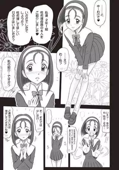 Shiritsu Risshin Gakuen -Seishori Iin to, Sono Oshigoto.