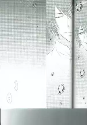 Petals Falling on Rippling Waters