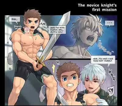 the novice knight's first mission