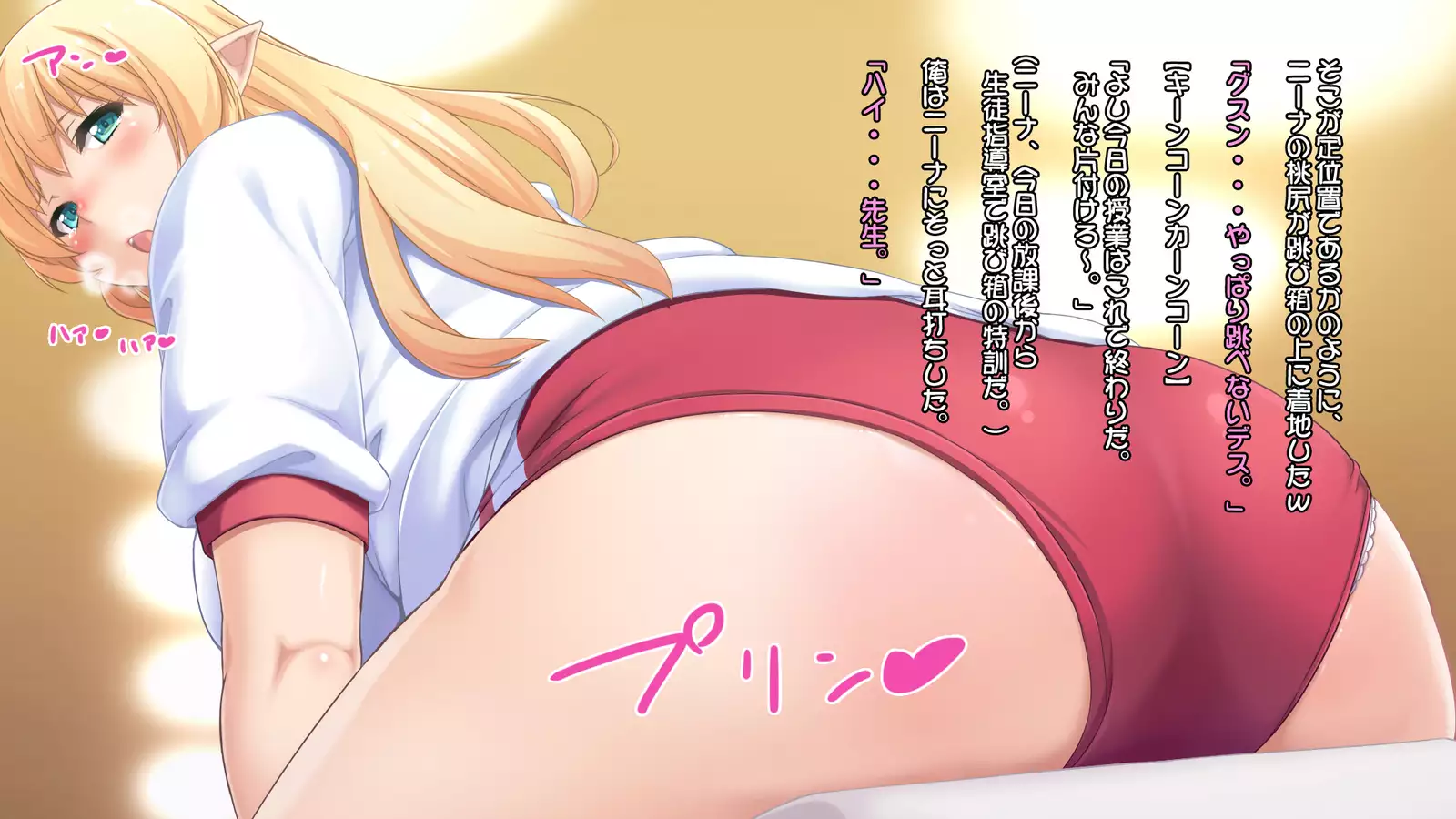 Junshin na Elf no Ryuugakusei ni Anal Choukyo shiyo!