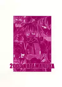 (CR33) [KATAMARI-YA (Shinama)] Shin Hakone Yumotoiki (Evangelion)