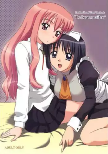 (C71) [G-SCAN CORP (Satou Chagashi)] Le beau maitre (Zero no Tsukaima) [Chinese] [最愛路易絲澪漢化組]