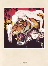 [Suehiro Maruo] MARUOGRAPH EX 2