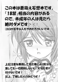 (C78) [sayou (Sakamoto Shin)] Aoiko ni Moe Moe Suru Hon (Rozen Maiden)