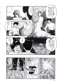 [Kazusa Shima] Magical Package