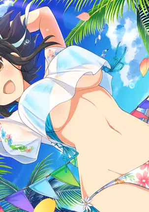 Master Ninja Senran Kagura NEW LINK - Swimsuits