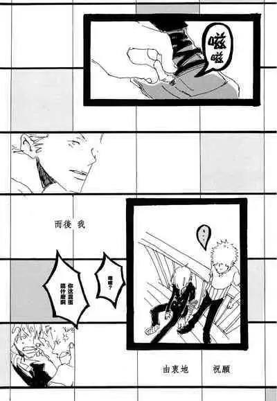 Heliotrope |日光菊