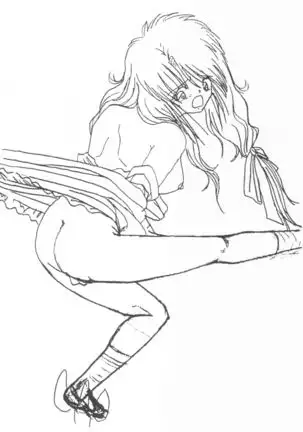 Dream Program SystemSeries Genga Settei Shiryou