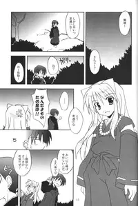 (C65) [Sumitan (Satou Kibi)] Sango-chan no Hon - Dai-san Maku (Inuyasha)