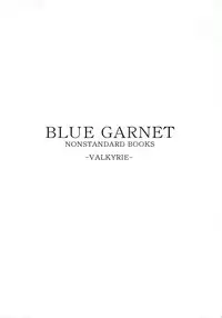 (C69) [BLUE GARNET (Serizawa Katsumi)] THE-VALKYRIE (Final Fantasy Tactics)