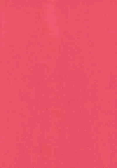 Neko ni naritakatta Tora. Tora o aishita Byakko.