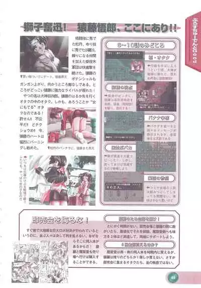 Official Alicesoft Full Completion Guide 2 (PC-CUPID)