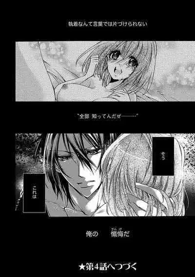 鬼畜兄弟の悶絶調教~私はいいなり奴隷~