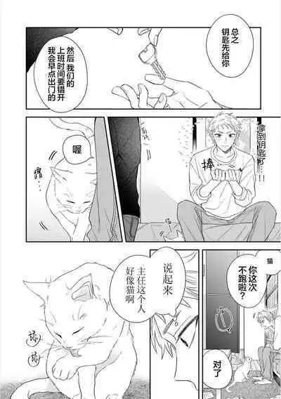 Dakasete Kudasai Furutaka Shunin|请让我抱您古高主任