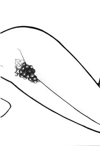 [Arimura Shinobu] Teens Paradise Part 2