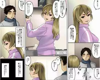 Ichizuna Anego wa Miboujin setto pan