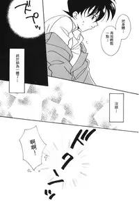 [Ooya Nako] Detective Assistant Vol. 13 (Detective Conan) [Chinese]