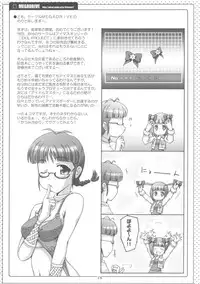 [Tosanmatsuri Jikkouiinkai (Various)] Tosanbow MaNIAX (Various)