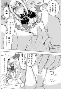 (COMIC1☆6) [Donzoko Kashiwa Meshi (Mask the J)] Altina Weapon (Shining Blade)