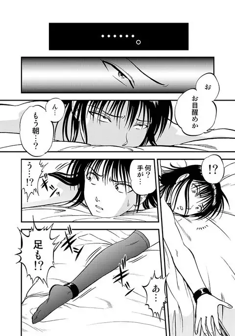 Cyberia Maniacs Chikan Ryoujoku Paradise Vol.2