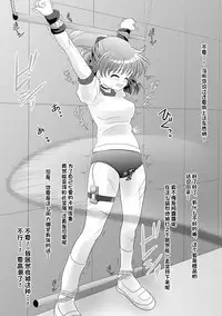 (C91) [SweetSprite (Itsuki, Yukko)] TOXIC (Puyo Puyo) [Chinese] [无毒汉化组]