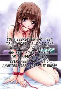 [Yonekura Kengo] Evergreen (complete) [English]