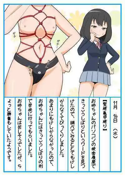 Onee-chan Zecchou Kanri Dorei Choukyou Nikki