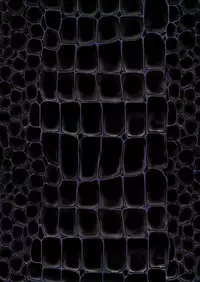 Q.E:R.M - Queen Elizabeth Royal Maintenance