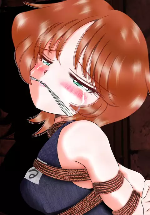 Hakurai Shoujo Series