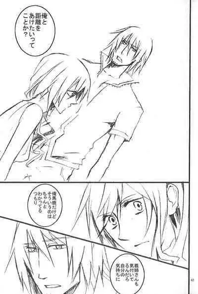 Final Fantasy 13 Fan book (cranberry hearts)