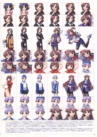 Natural 2 Duo Visual Fan Book