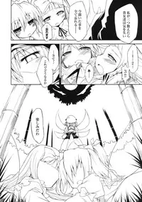 (Reitaisai 5) [IncluDe (Foolest)] BRIGHTNESS DARKNESS (Touhou Project)