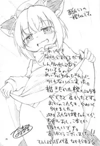 (C95) [Mofu Shippo Lab (Nakamura Subaru)] Neko Nee-chan. (Touhou Project)