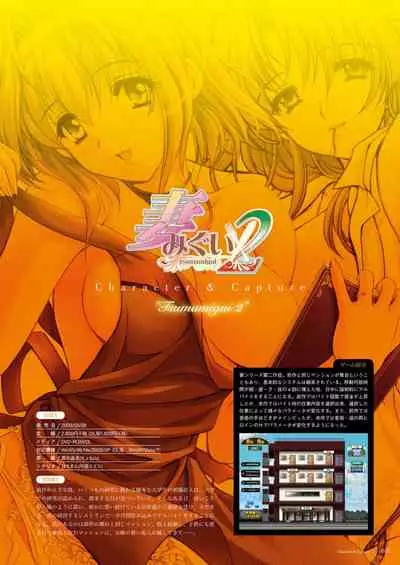 Alice soft