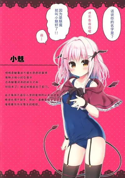 (C95) [Unagiyasan (Hanamiya Natsuka)] Succubus-chan Ikusei Nisshi [Chinese] [玲车漂移汉化]