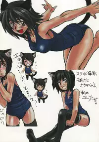 (SC34) [Dennou Denpa Hatsureisho (Harukaze Koucha)] Itsumono. Zouryou (Various)