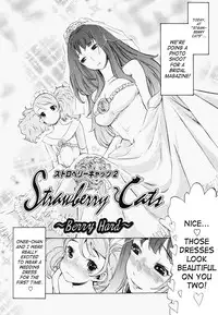 [D.P] Poko to Wonderful [English] [SaHa]