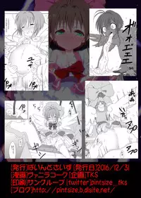 SAKURA BREAK 4 ～Symphony Of Nightmare～