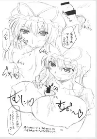 (SC39) [Amadeus no Isan (Fujihara Shu, Aoba Shou)] Suki? Ma (Touhou Project)