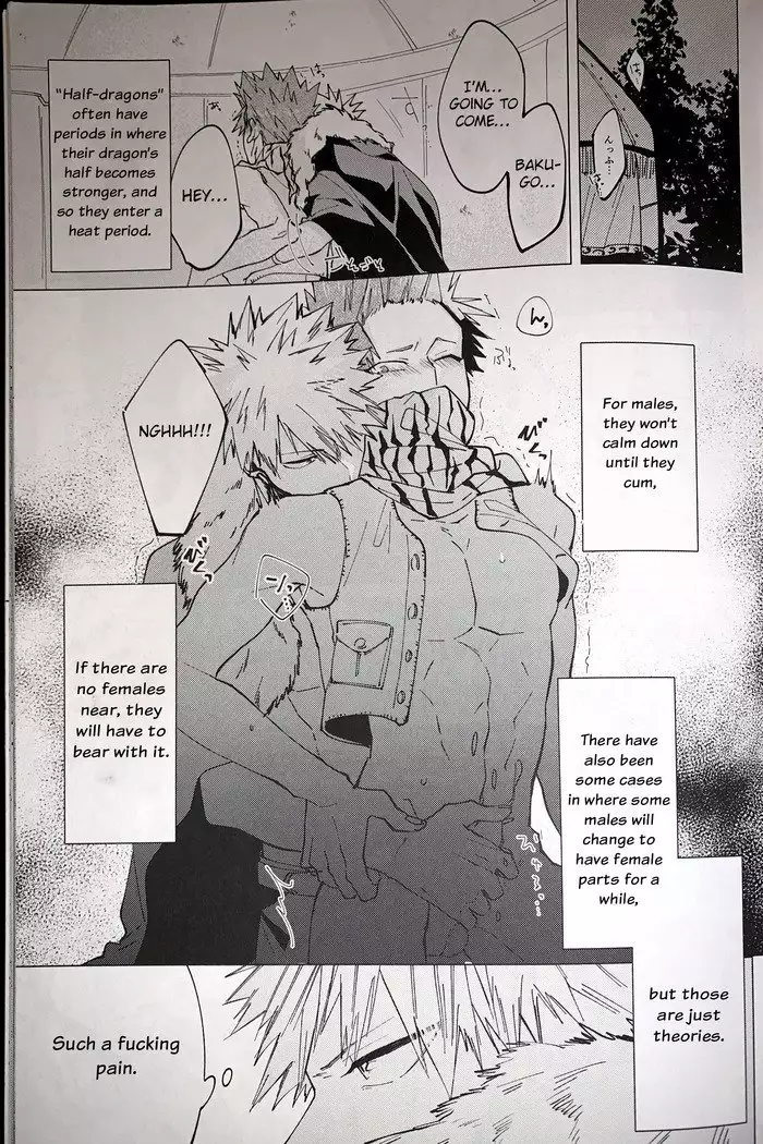 Segregated Euphoria- Boku no Hero Academia dj