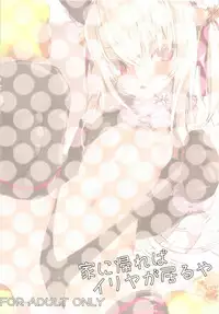 [Illumination. (Ogadenmon)] 家に帰ればイリヤが居るや (Fate/Grand Order) [Digital]