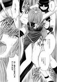 (C65) [Crimson (Carmine)] Shinshoku Soushuuhen (Black Cat)