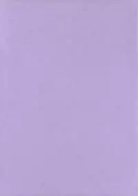 (CT13) [S-G.H. (Oona Mitsutoshi)] Suicida #13 (Kemeko Deluxe!) [English] [ac124]