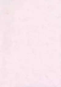 (Nanairo Majo no Ningyou Butoukai. 5) [Public Planet (Coaster)] ChuPachepa (Touhou Project)