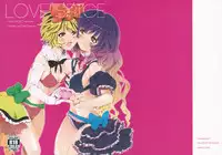 (Reitaisai 9) [*mammypoko* (Mamiya Poko)] LOVE SPICE (Touhou Project)